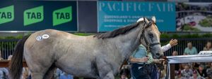 A million reasons why Rosehill uncertainty can’t diminish Brian Mayfield-Smith’s legacy
