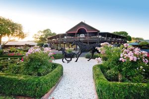 NZB Kiwi slot auction tops $6 million