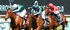 Harron holds strongest hand as juvenile colt options dry up for studs
