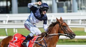 Affordability and opportunity underpins  growth in Classic Sale