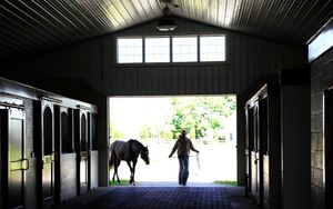 2024 Stallion Fees - Latest