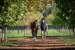 Run The Numbers – Autumn proves the time again for rising Sun