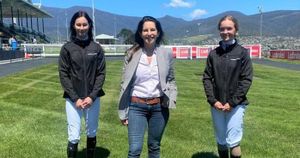 Howlett back in hot seat as Racing Ministry roundabout continues in Tasmania