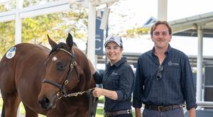 Tassort colt tops subdued HTBA Yearling Sale