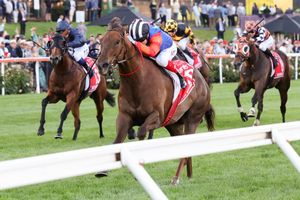 Tracked - The Saturday Racing Review - June 29
