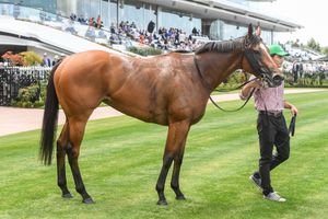 Tracked - The Saturday Racing Review - June 22
