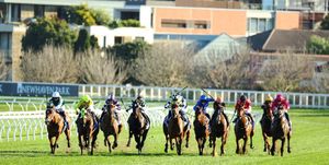 Life in the Land of the Giants - the mega stables and their impact on racing