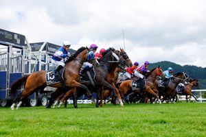 “It's been under-invested for decades” - Entain windfall can’t mask old problems for NZ racing