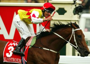 Global star Elvstroem dies in France aged 24