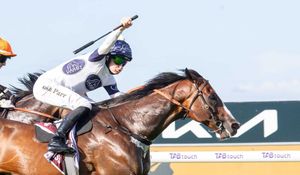 Bjorn again – Overpass continues his Ascot love affair