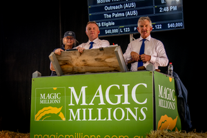 Tassie's Magic opportunities