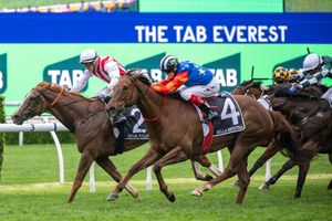 Bella Nipotina to hold court at Chairman’s Sale - Everest winner's owners choose Inglis to sell their prized seven-year-old