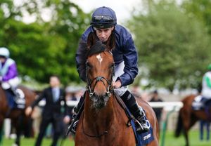 The anointed son - Justify’s City Of Troy to shuttle to Coolmore Australia