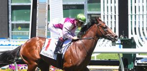Straight Shorts - Wednesday April 9 - Coleman share sells online, record result for World Pool, Atishu ready for finale, Alligator Blood retired