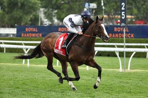 Straight Shorts - Tuesday April 22 - How the Quokka draw unfolded, fields out for Adelaide Group 1s, Windsor Park fees, a blow for Trelawney and US online wagering faces bill scrutiny