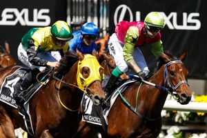 Straight Shorts - Monday April 21 - Magic Millions unveils weanling catalogue, Cambridge Stud announces 2025 fees, richly bred Sydney winners, HK update on Mr Brightside and El Vencedor