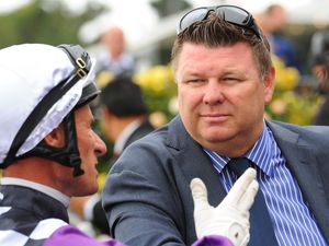 Consumer watchdog launches probe into NSW trainers’ charity event