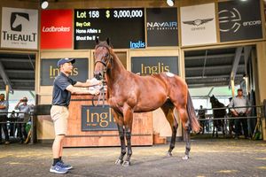 $3 million Home Affairs colt tops Easter opener