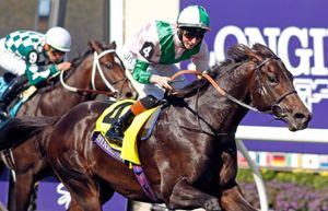Starlust a 'game-changer' as Riverstone launches into stallion game