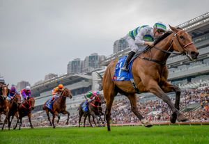 Commingling issue delivers a $69 million hit to Hong Kong turnover