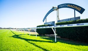 Belmont racetrack issue unresolved as analysis continues