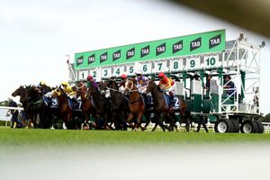 NSW Trainers Association in clear over charity lunch complaint