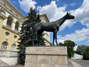 ‘A daisy-eating, scenery-loving, sleepy-eyed and slightly pot-bellied hussy’ – The legend of unbeaten Kincsem lives on in Hungary