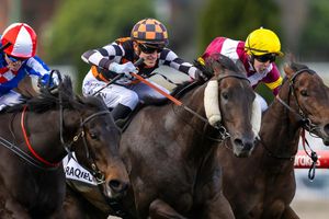 Run The Numbers – History repeats in Moir for Group 1-producing mares
