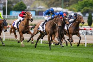 Yulong joins Charm Stone syndicate at cost of $310,000