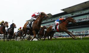 What will happen with Australia's black type Pattern?