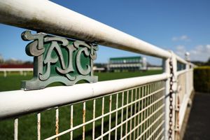 ‘Asset-rich, resilient and strong’ - ATC directors promise to meet Racing NSW’s show cause notice head on