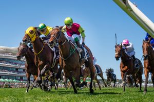 Mega-stables gang tackle Melbourne Cup nominations