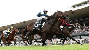 Shooting the breeze - Why faster times aren’t a guide to better buys at two-year-old sales