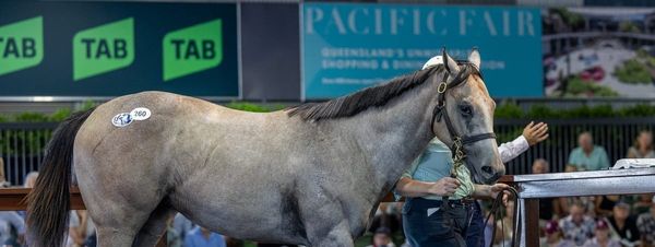 A million reasons why Rosehill uncertainty can’t diminish Brian Mayfield-Smith’s legacy