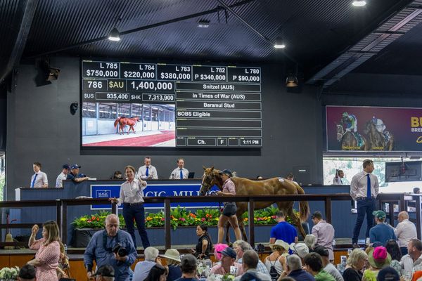 Run The Numbers - Yearling buyers shop smarter in circumspect market