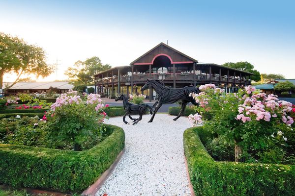 NZB Kiwi slot auction tops $6 million