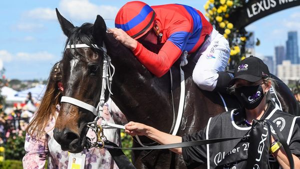 Tributes flow after Cup champion Verry Elleegant dies in Ireland