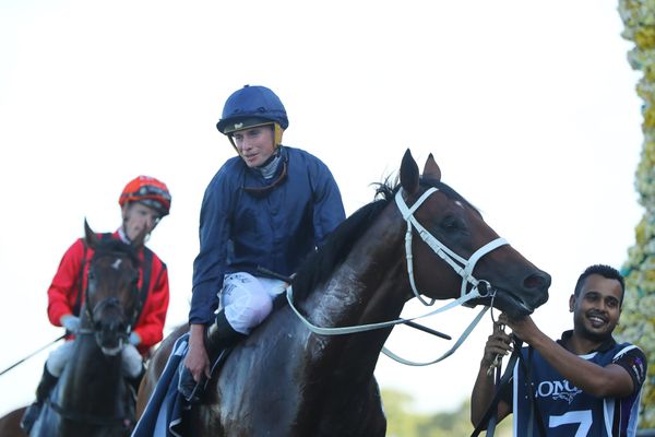 Storm Boy sale adds fascinating subplot to Tulloch Lodge Slipper bid