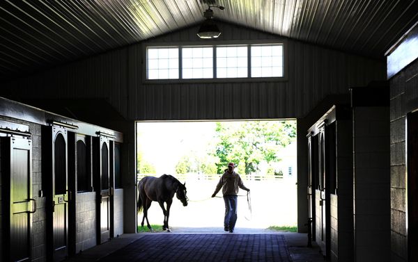 2024 Stallion Fees - Latest