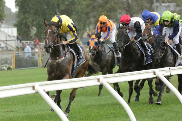 From Rough Habit to Molly Bloom - a family’s Doomben legacy continues