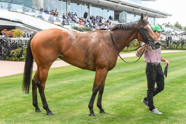 Tracked - The Saturday Racing Review - June 22
