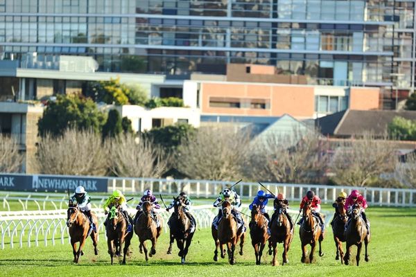 National restructure looms after explosion in NSW spring black-type races
