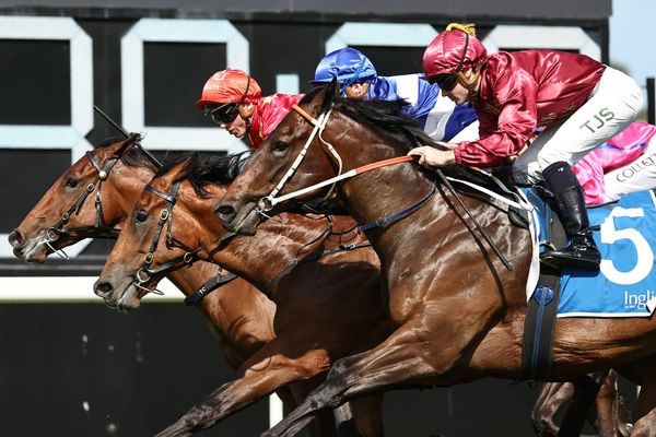 Straight Shorts - Friday March 21 - Slipper runner in fitness test, Save Rosehill ramps up campaign, Entain prepares for court battle