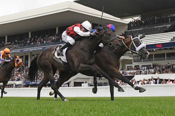 La Crique reprises a Tancred formula from a previous era