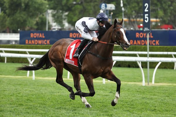 Straight Shorts - Tuesday April 22 - How the Quokka draw unfolded, fields out for Adelaide Group 1s, Windsor Park fees, a blow for Trelawney and US online wagering faces bill scrutiny
