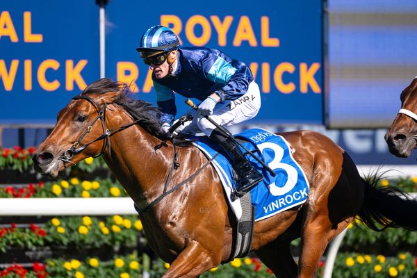 ‘The horse sells himself’ - Laurie in the driver’s seat as offers flow for unbeaten Vinrock