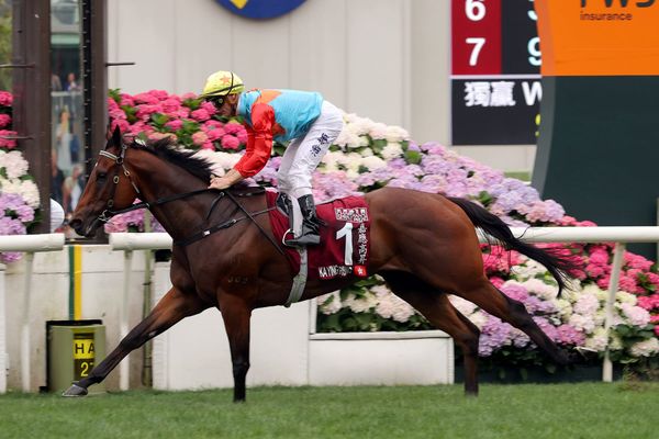 Ka Ying maybe? Changes to RV vet protocols opens door to Champions Sprint possibility