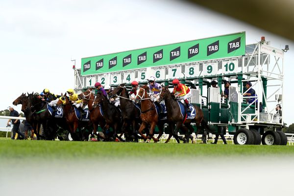 NSW Trainers Association in clear over charity lunch complaint