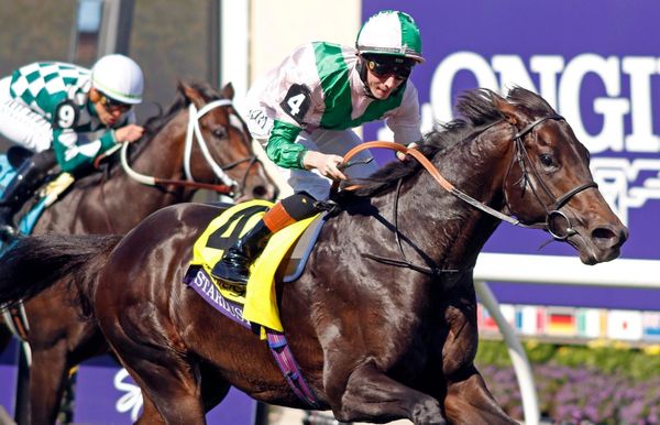 Riverstone bound - Grade 1 winner Starlust has run his last race