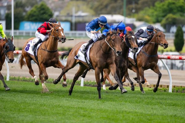 Yulong joins Charm Stone syndicate at cost of $310,000